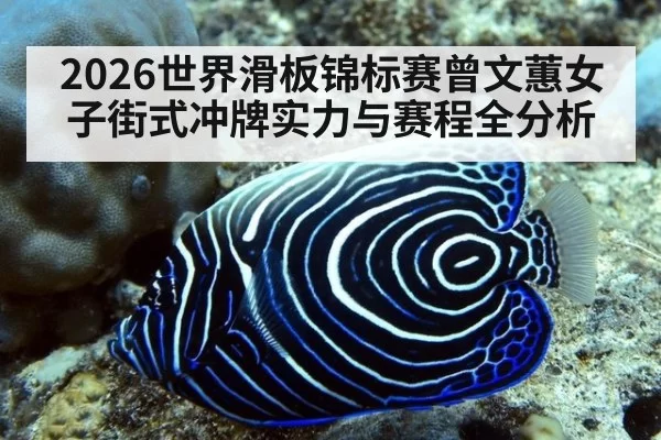 2026世界滑板锦标赛曾文蕙女子街式冲牌实力与赛程全分析
